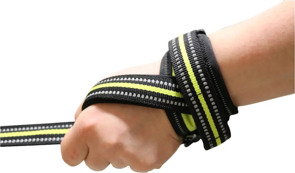 Axaeco – Laisse Thor Leash – 180 cm