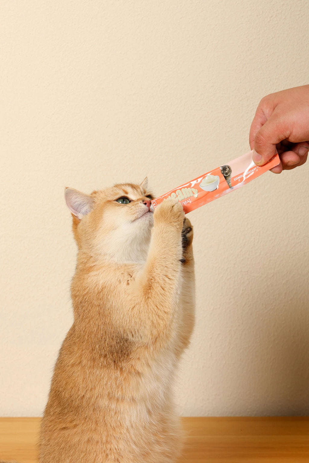 Friandises crémeuses pour chat M-PETS – Saumon – 60 g