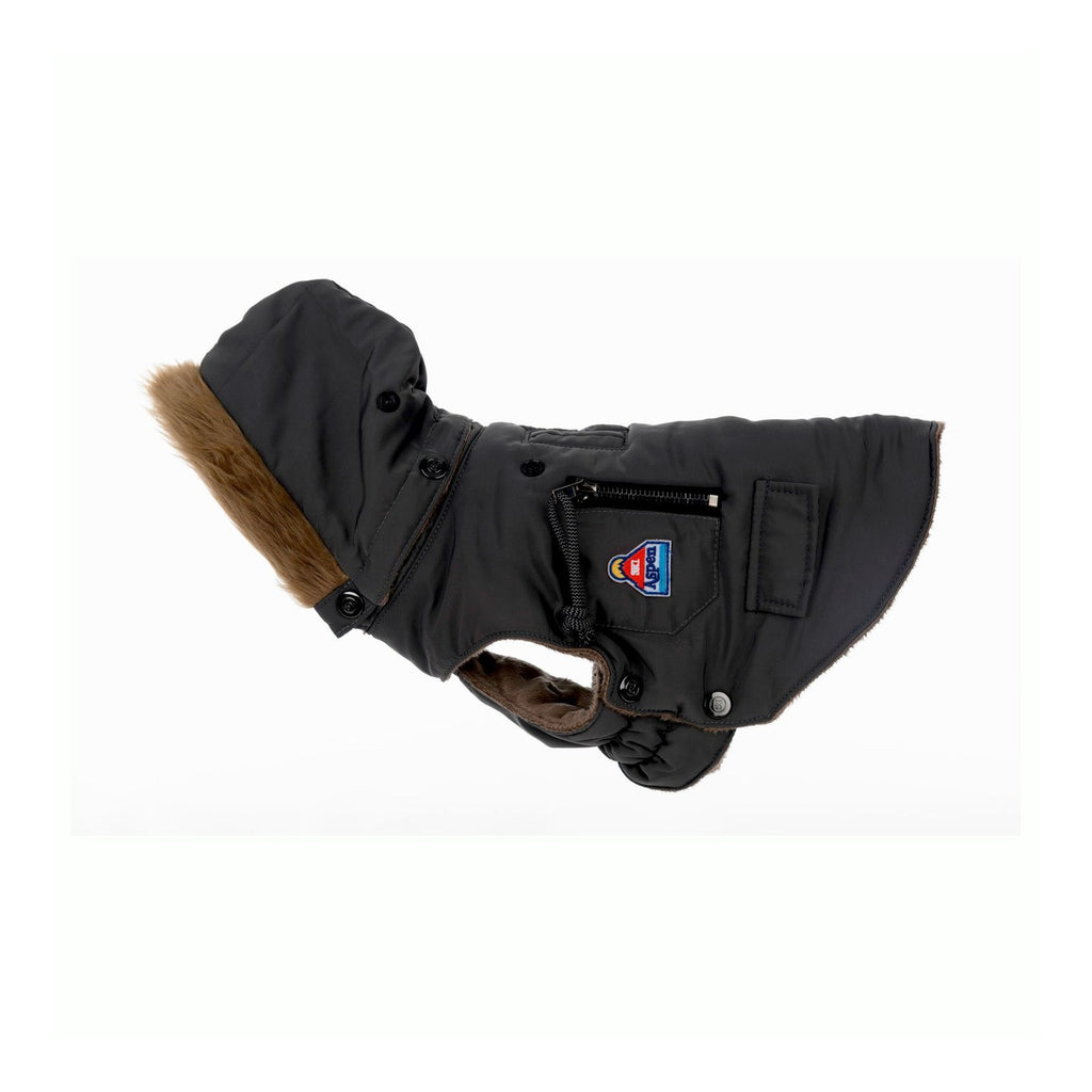 Aspen/Nomad Winter Dog Coat – 51 Degrees North
