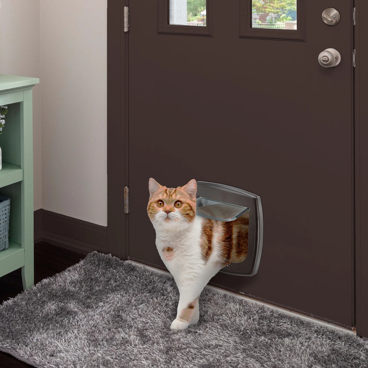 Chatière Swing 1 pour chat et petit chien – Ferplast