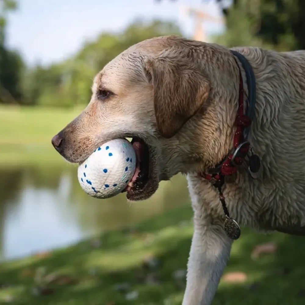 M-PETS BLOOM Rugby – Jouet pour chien Bleu & Blanc