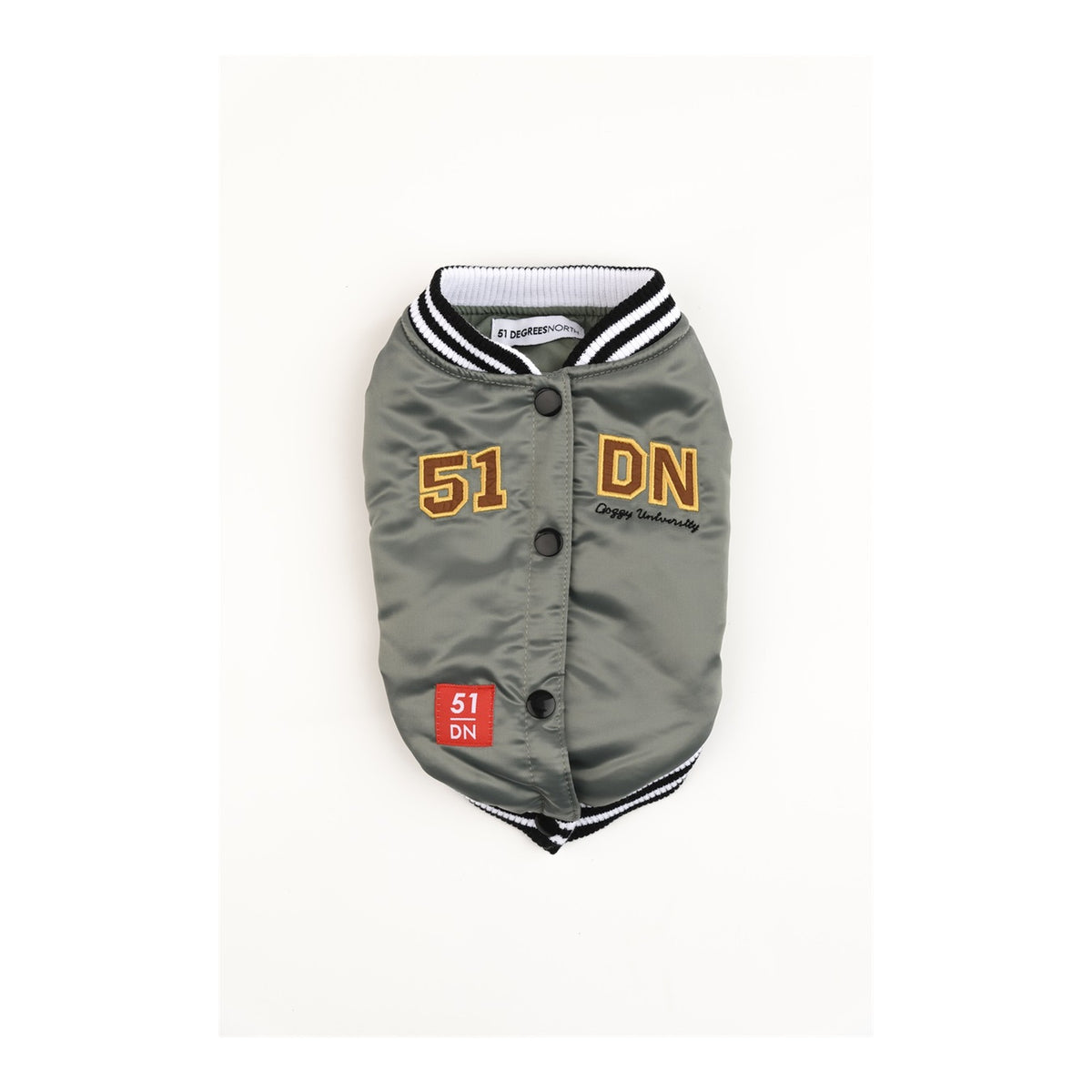 Hundemantel College Doggy University – 51 Degrees North.