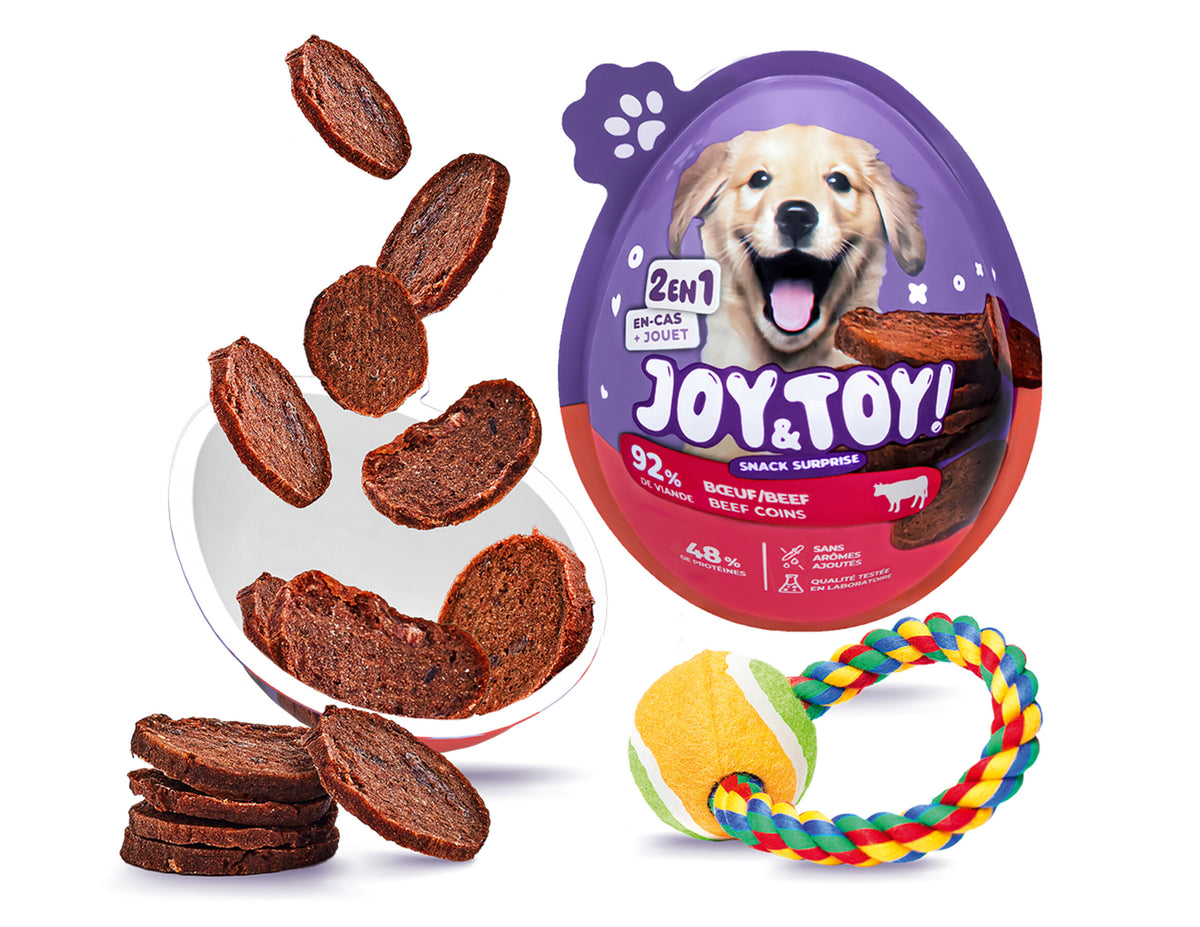 Joy & Toy – Surprise egg for dogs 🐶🎁