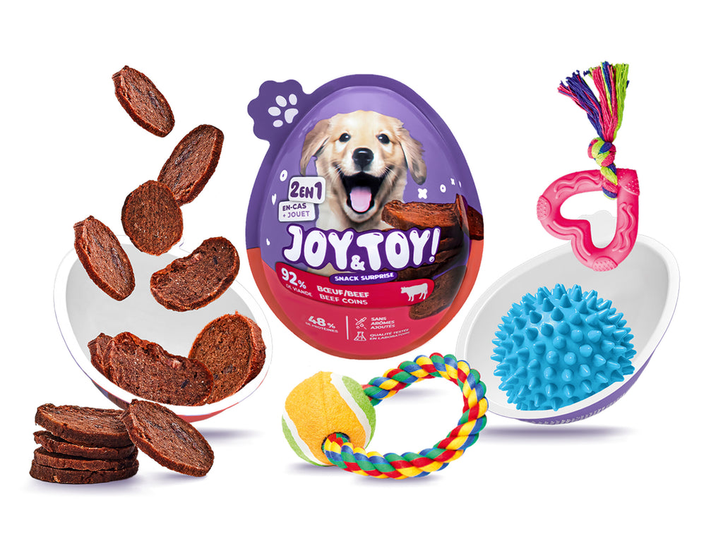 Joy & Toy – Surprise egg for dogs 🐶🎁