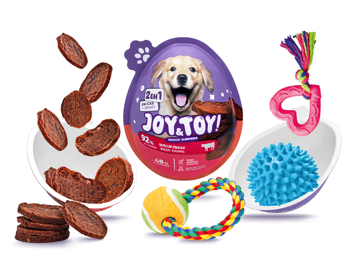 Joy & Toy – Surprise egg for dogs 🐶🎁