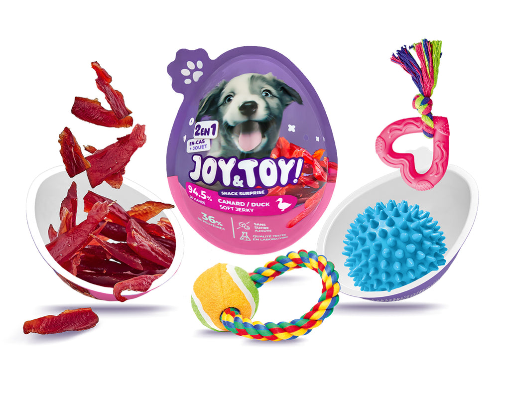 Joy & Toy – Surprise egg for dogs 🐶🎁