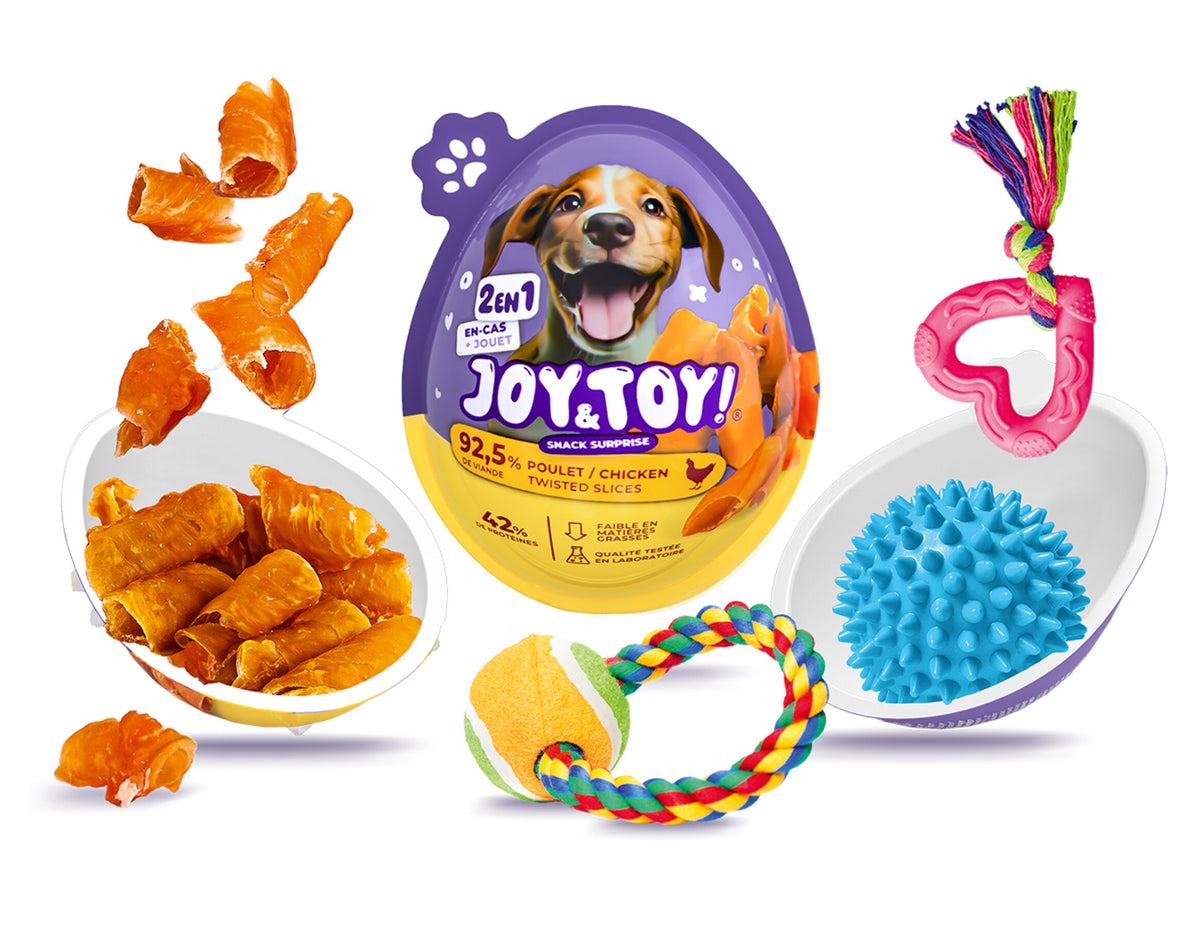 Joy & Toy – Surprise egg for dogs 🐶🎁