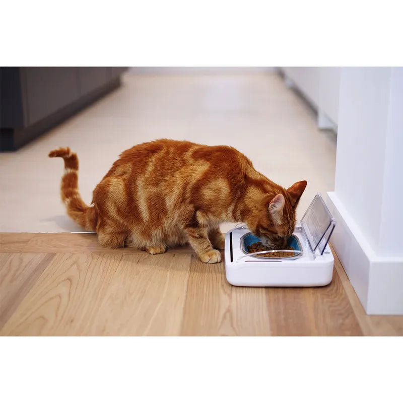 Gamelle hermétique automatique SureFeed – SureFlap