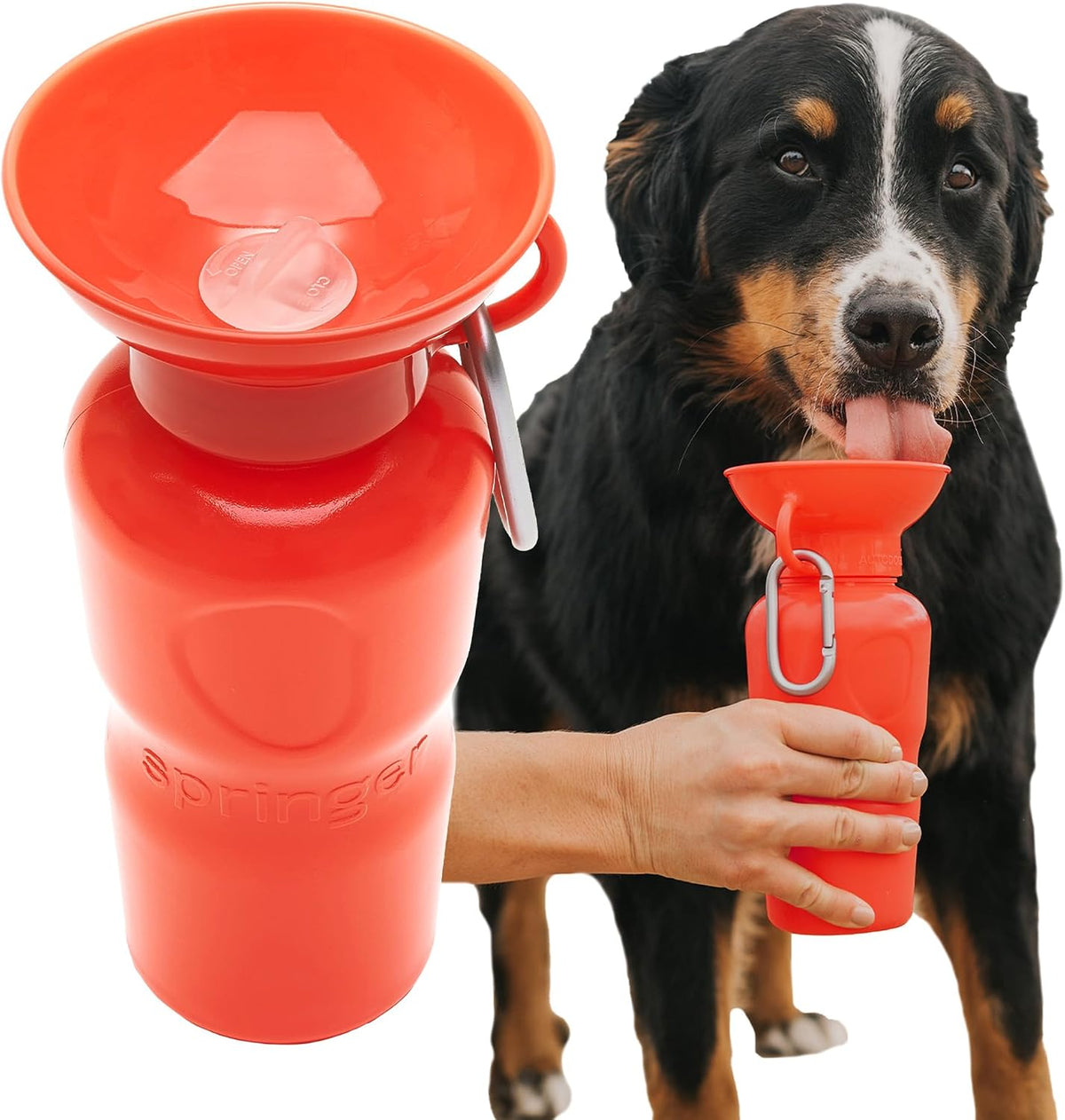 Springer-Trinkflasche für Hunde – 650 ml