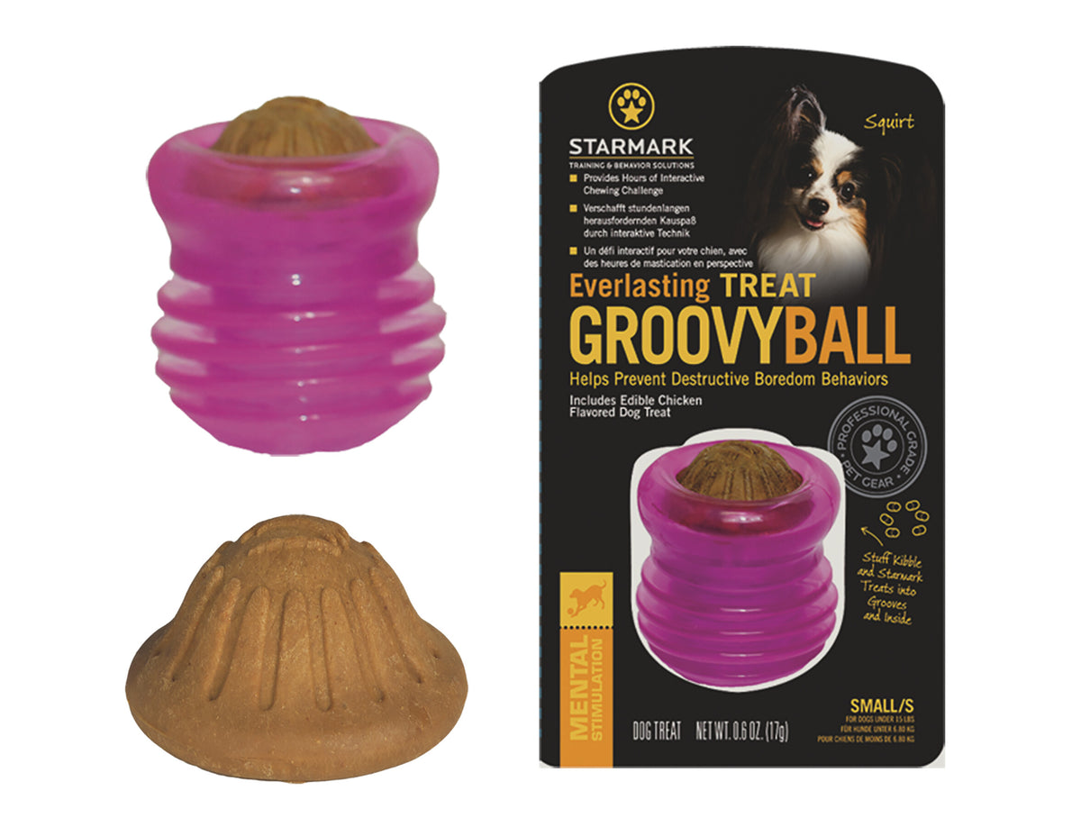 STARMARK Everlasting Treat Groovy Ball – Balle interactive à friandises pour chien – Mauve