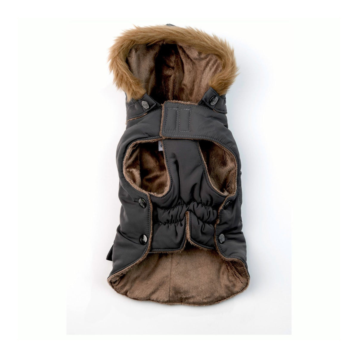 Aspen/Nomad Winter Dog Coat – 51 Degrees North