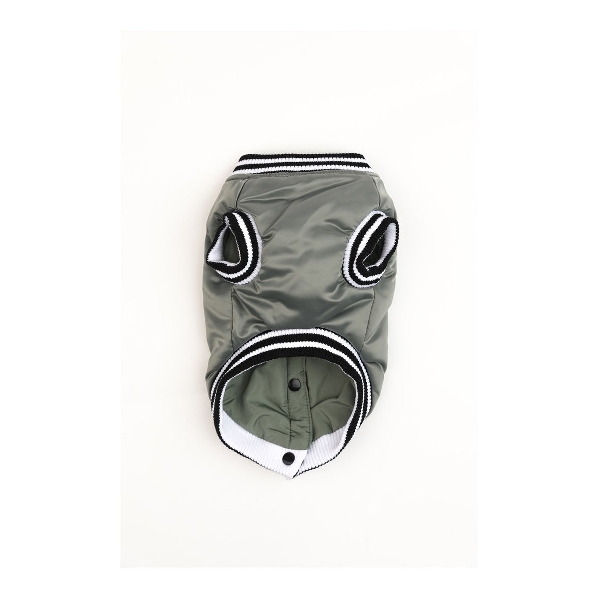 College Doggy University dog coat – 51 Degrees North.
