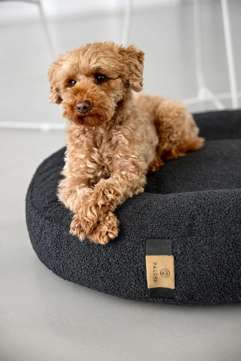 Panier rond pour chien PALOPA Fippa