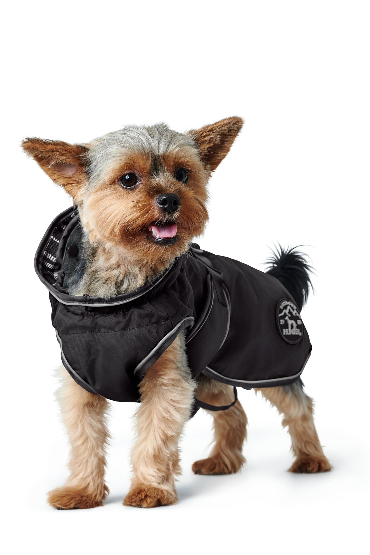 Uppsala dog coat – HUNTER