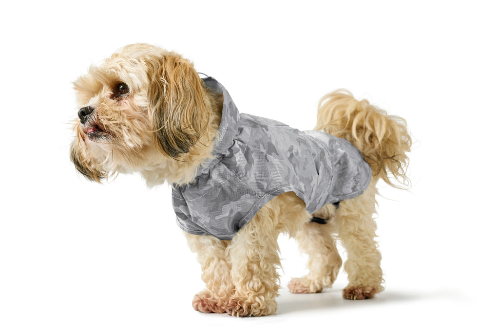 Hunde-Regenmantel HUKA TO GO – HUNTER