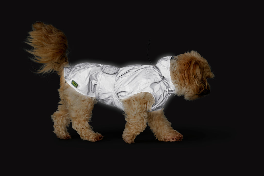 Hunde-Regenmantel HUKA TO GO – HUNTER