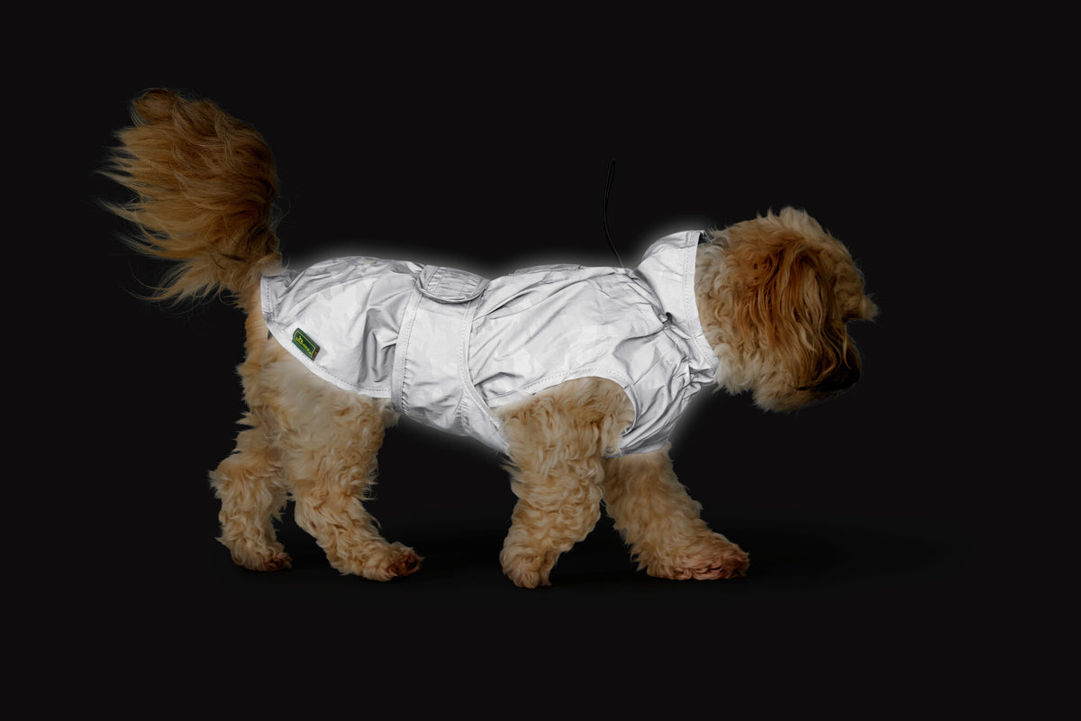 Hunde-Regenmantel HUKA TO GO – HUNTER