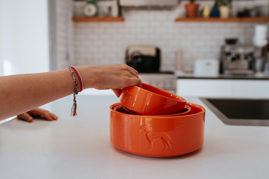 HUNTER Osby Glazed – Gamelle en céramique antidérapante orange