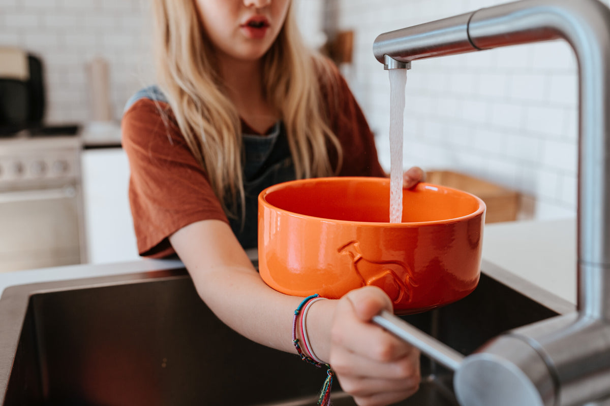 HUNTER Osby Glazed – Gamelle en céramique antidérapante orange