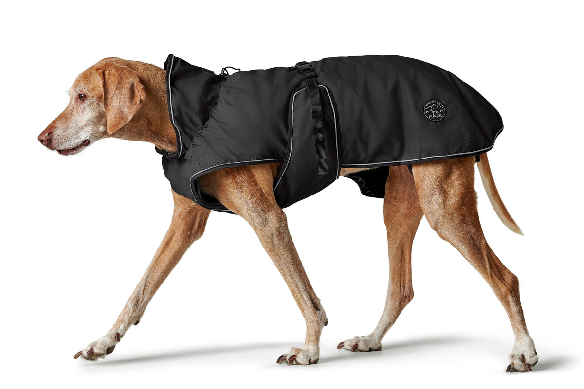 Uppsala dog coat – HUNTER