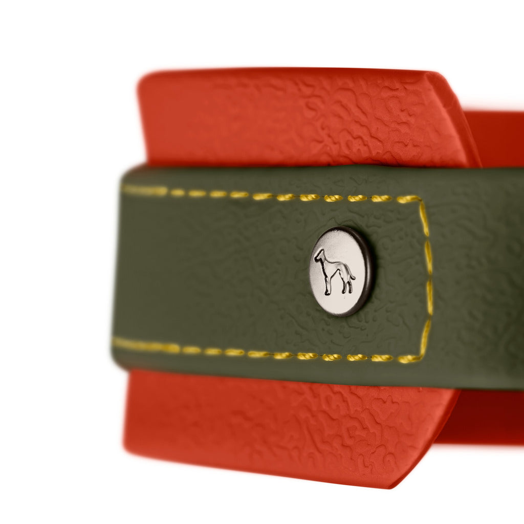 HUNTER HAVANNA Hundehalsband – Bequem & strapazierfähig