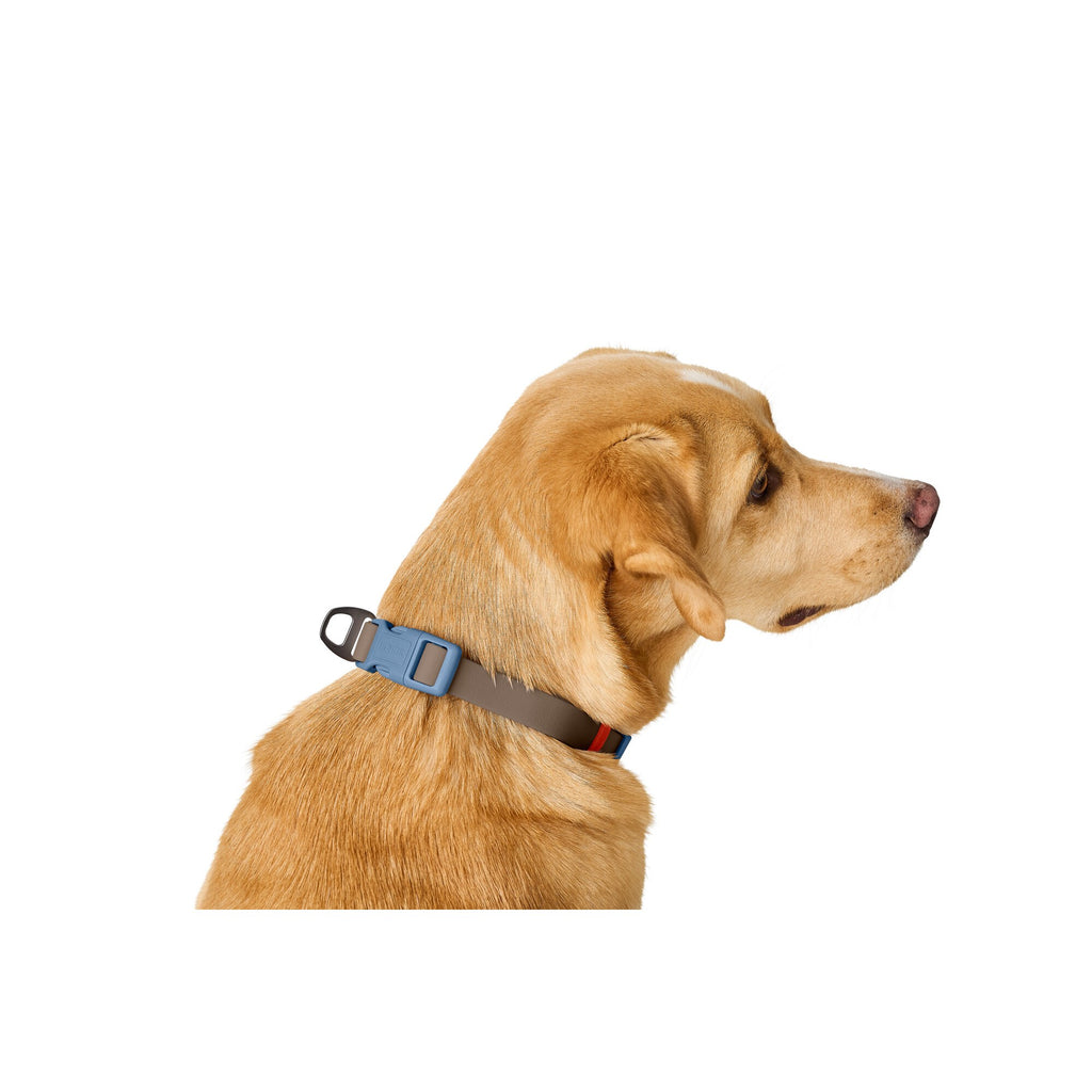 Collier pour chien HUNTER HAVANNA – réglable