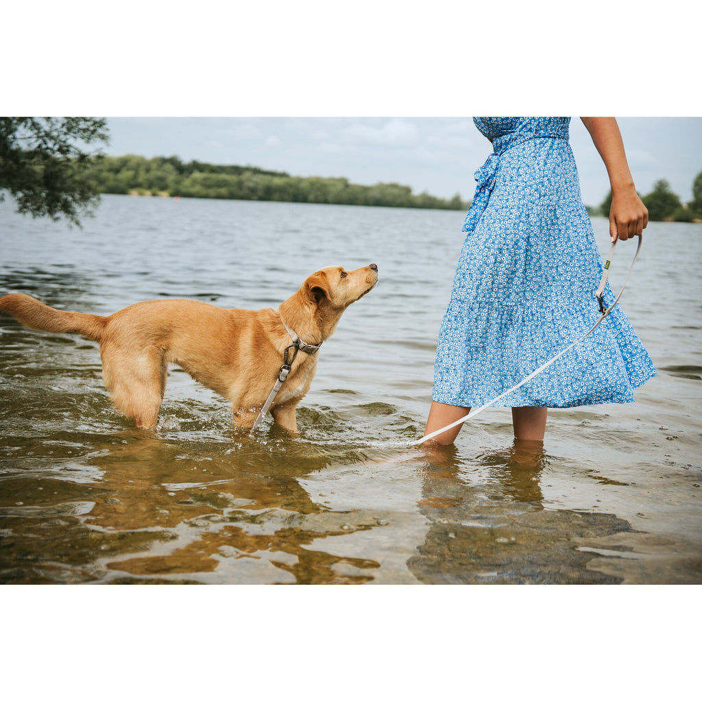 HUNTER HAVANNA Hundehalsband – Bequem & strapazierfähig