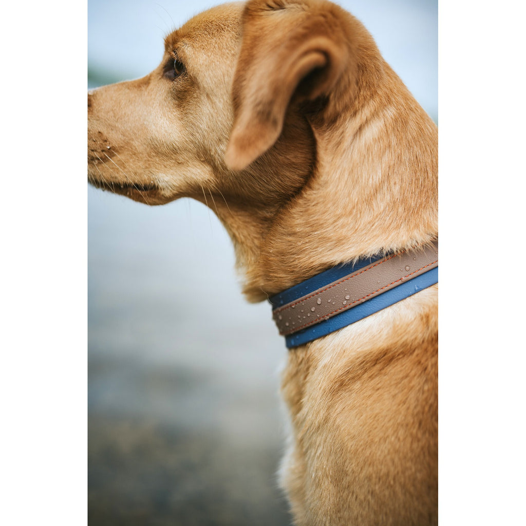 HUNTER HAVANNA Hundehalsband – Bequem & strapazierfähig