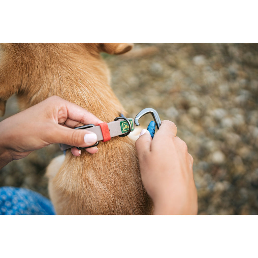 Laisse pour chien HUNTER HAVANNA – Résistante & confortable