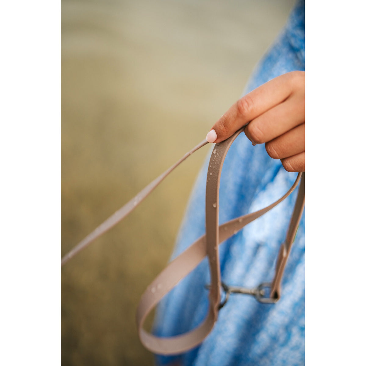 HUNTER HAVANNA dog leash – Durable & comfortable with classic snap hook