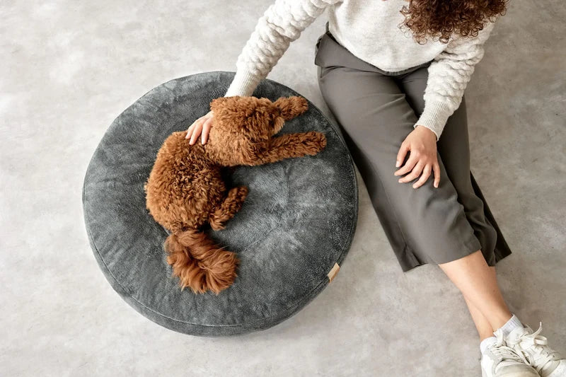 Panier rond pour chien PALOPA Fippa