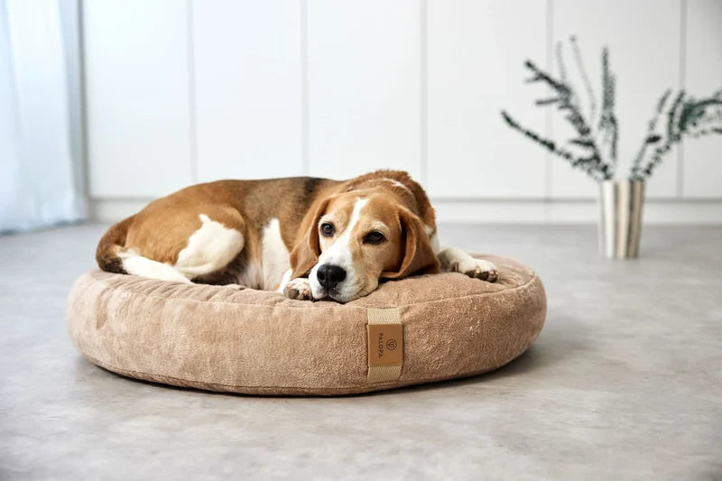 Panier rond pour chien PALOPA Fippa