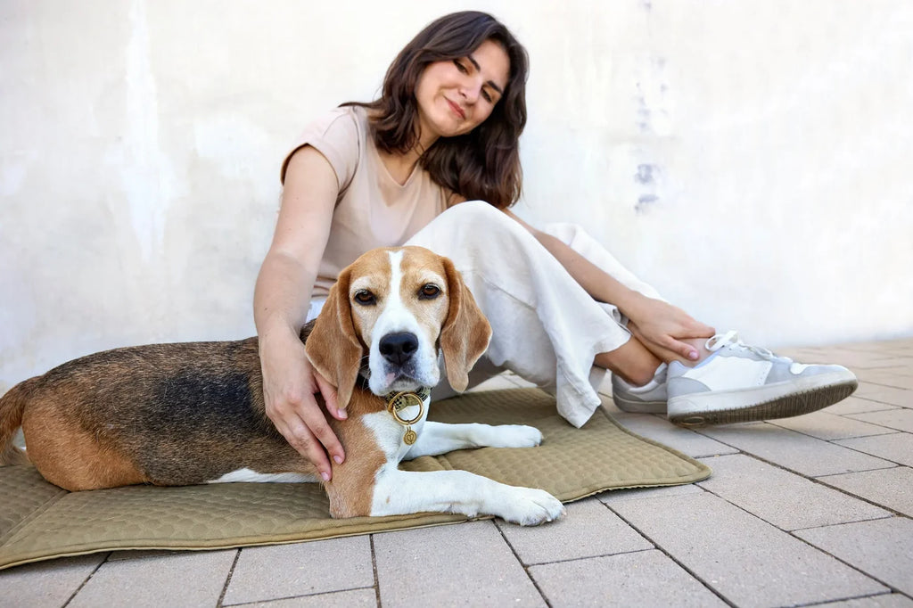 PALOPA Nobo – Sac 2 en 1 transformable en tapis de couchage pour chien