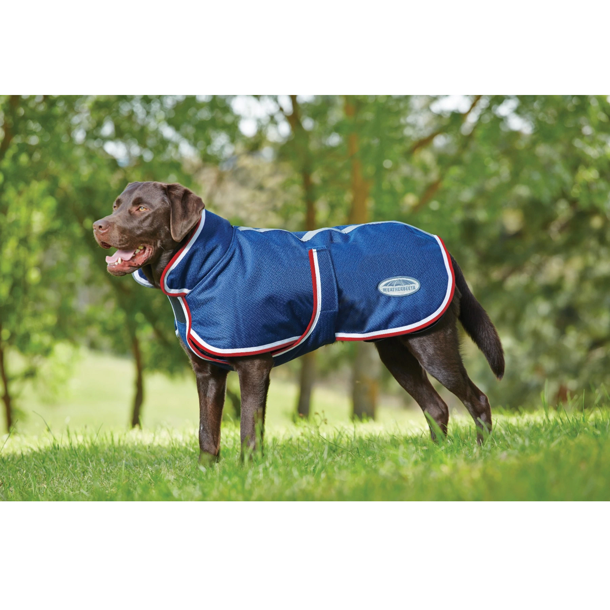 Manteau pour chien WeatherBeeta ComFiTec Parka 1200D Deluxe