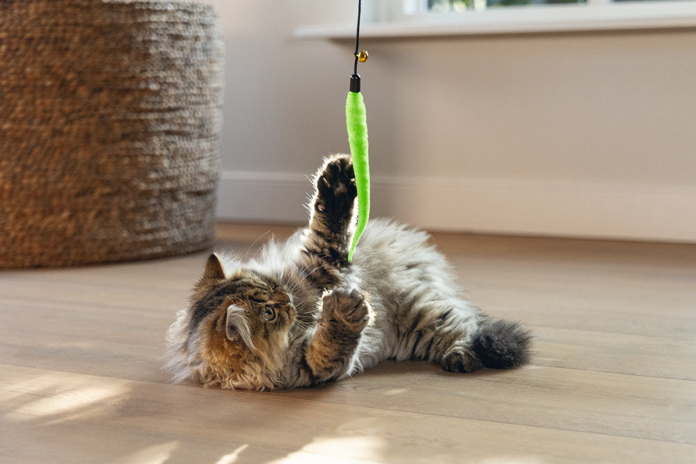 Beeztees – Canne à pêche Novi Fluo pour chat