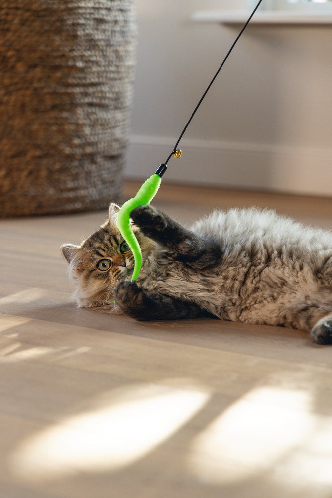 Beeztees – Canne à pêche Novi Fluo pour chat