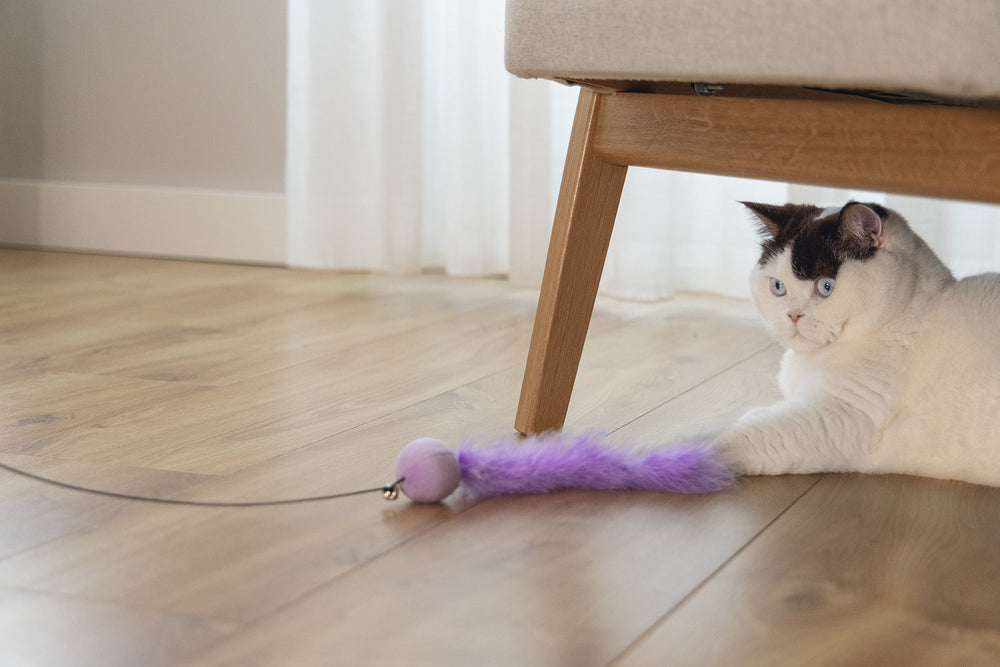 Beeztees – Canne à pêche avec balle, plumes et grelot pour chat