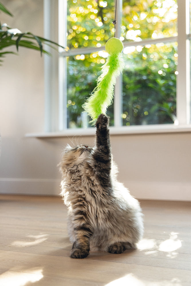 Beeztees – Canne à pêche avec balle, plumes et grelot pour chat