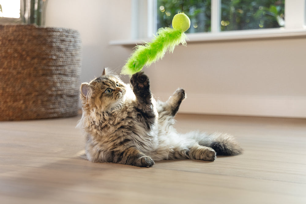 Beeztees – Canne à pêche avec balle, plumes et grelot pour chat