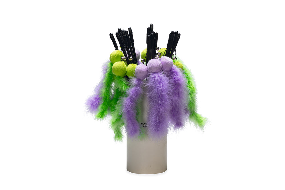 Beeztees – Canne à pêche avec balle, plumes et grelot pour chat