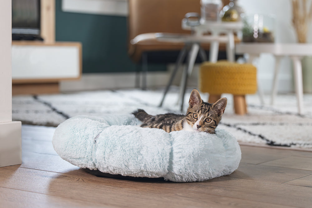 Beeztees Maui – Panier fleur en peluche pour chat