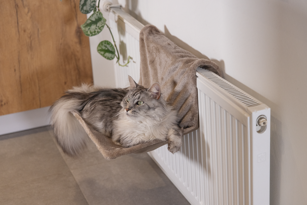 BEEZTEES Sleepy – Hamac douillet pour radiateur pour chat – 4 coloris