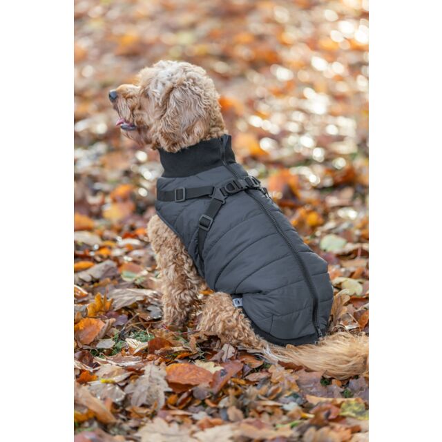 Manteau pour chien Pontis avec harnais intégré – Trixie