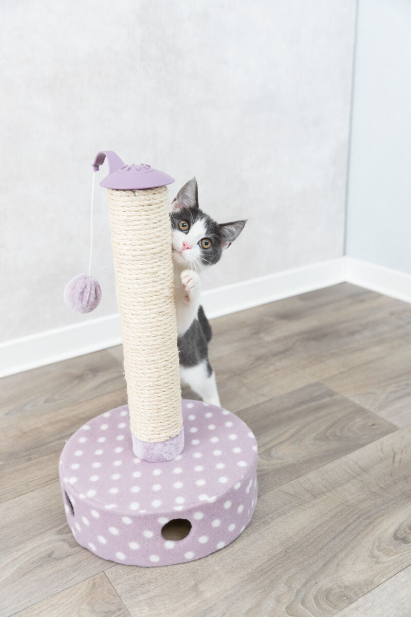 Griffoir chaton TRIXIE Junior mauve 47 cm avec jouets