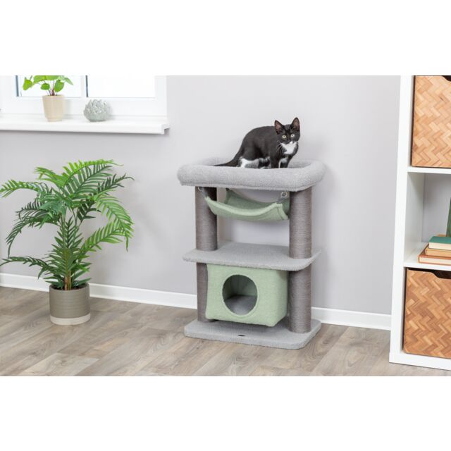 TRIXIE Junior Lunito – Arbre à chat avec hamac et cachette – Gris et menthe – 71 cm