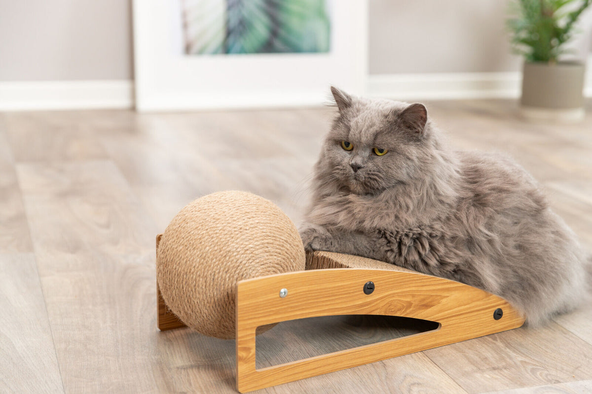 Kratzrampe mit Ball für Katzen – TRIXIE