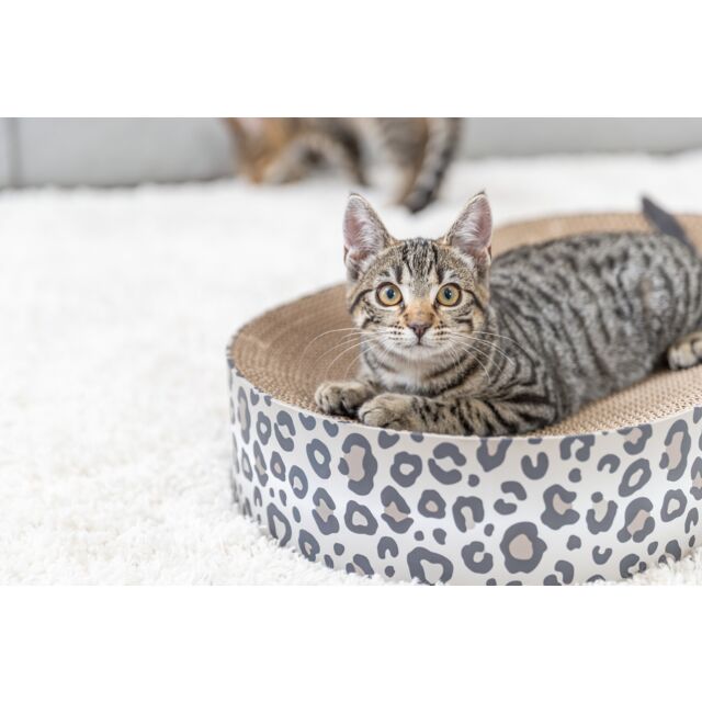 TRIXIE Leo – Lit griffoir en carton pour chat – Motif léopard crème – 63 cm