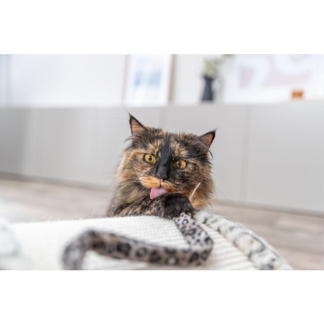 TRIXIE Leo – Pont griffoir pour chat en jute et peluche – Motif léopard crème