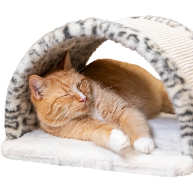 TRIXIE Leo – Pont griffoir pour chat en jute et peluche – Motif léopard crème