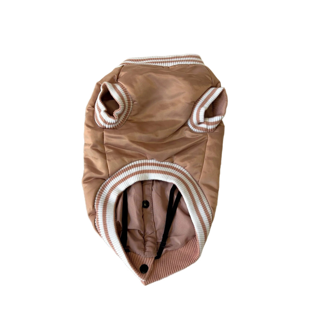 College Doggy University dog coat – 51 Degrees North.